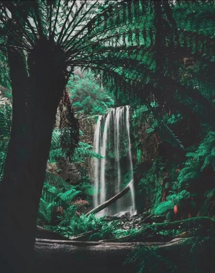 Great Ocean Road Wellness And Nature Stay Аполо Бей Екстериор снимка