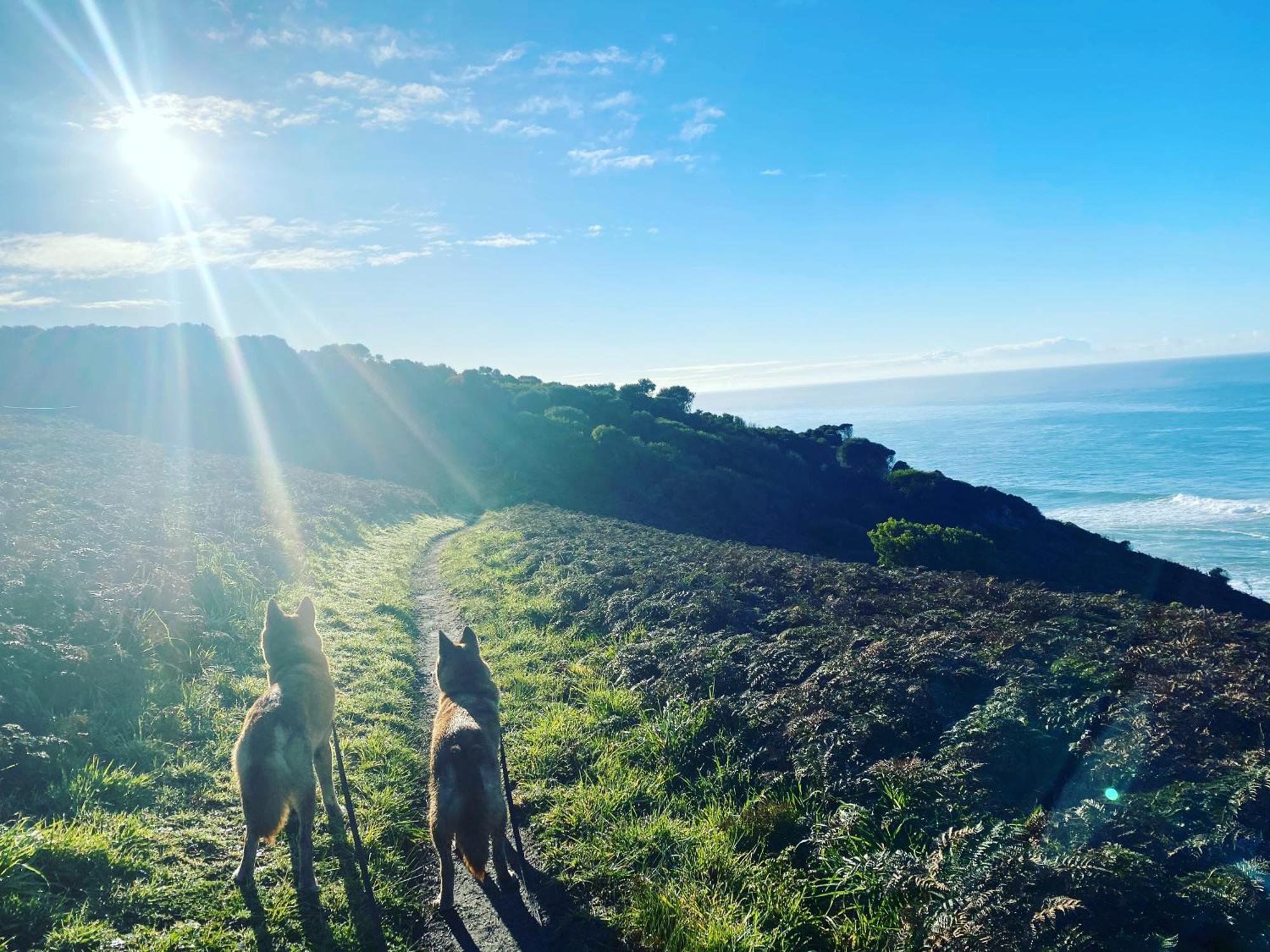 Great Ocean Road Wellness And Nature Stay Аполо Бей Екстериор снимка