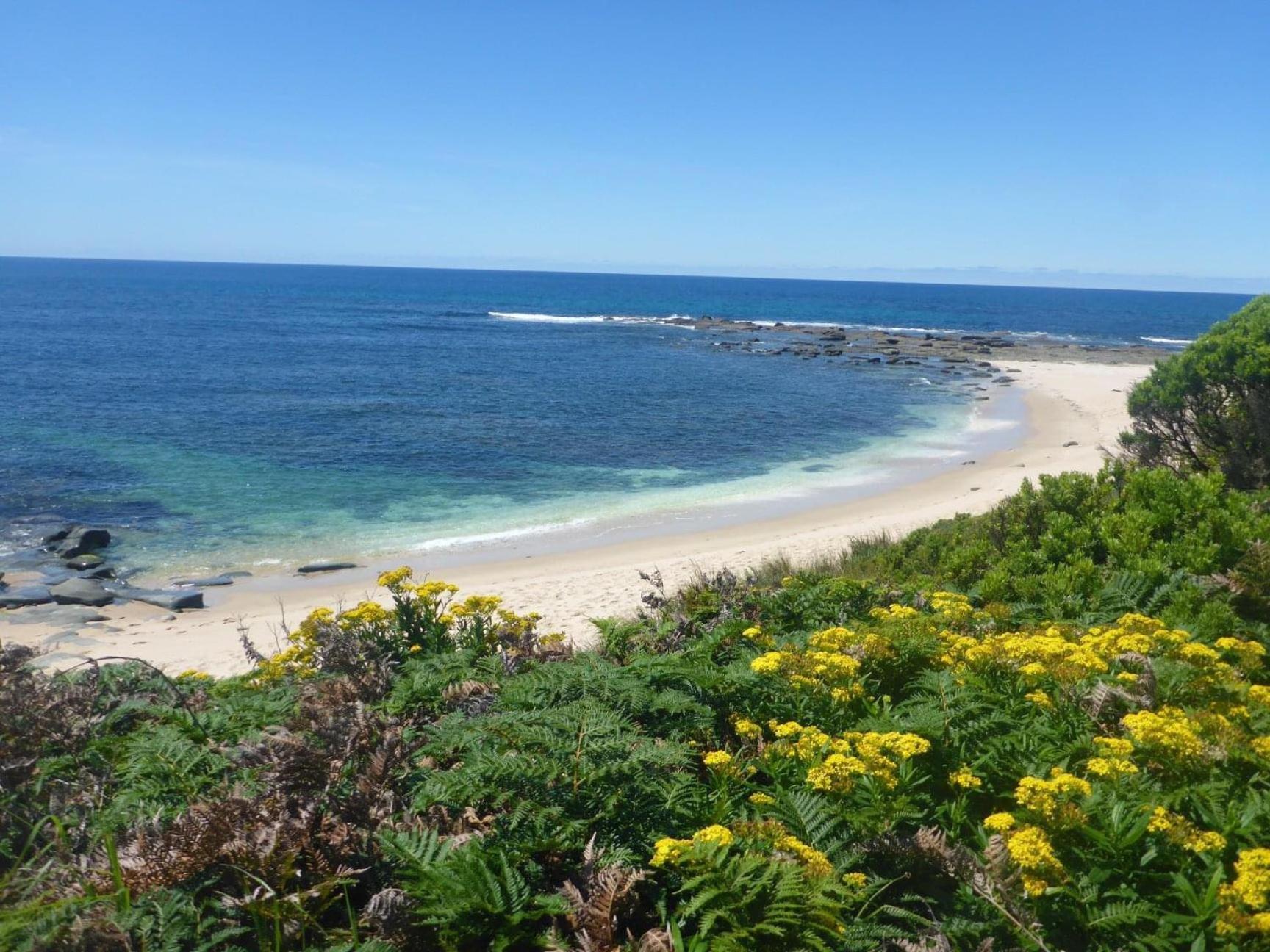 Great Ocean Road Wellness And Nature Stay Аполо Бей Екстериор снимка