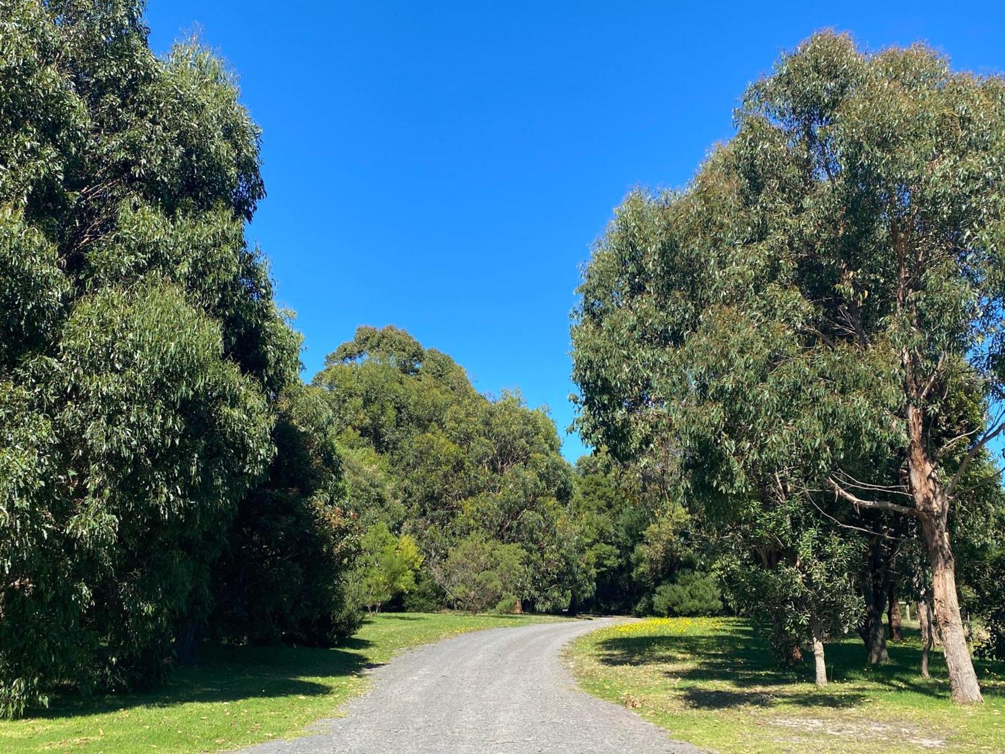 Great Ocean Road Wellness And Nature Stay Аполо Бей Екстериор снимка