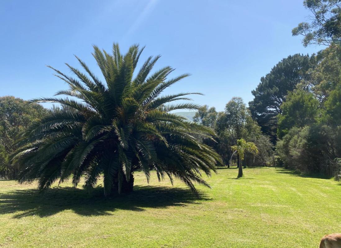 Great Ocean Road Wellness And Nature Stay Аполо Бей Екстериор снимка